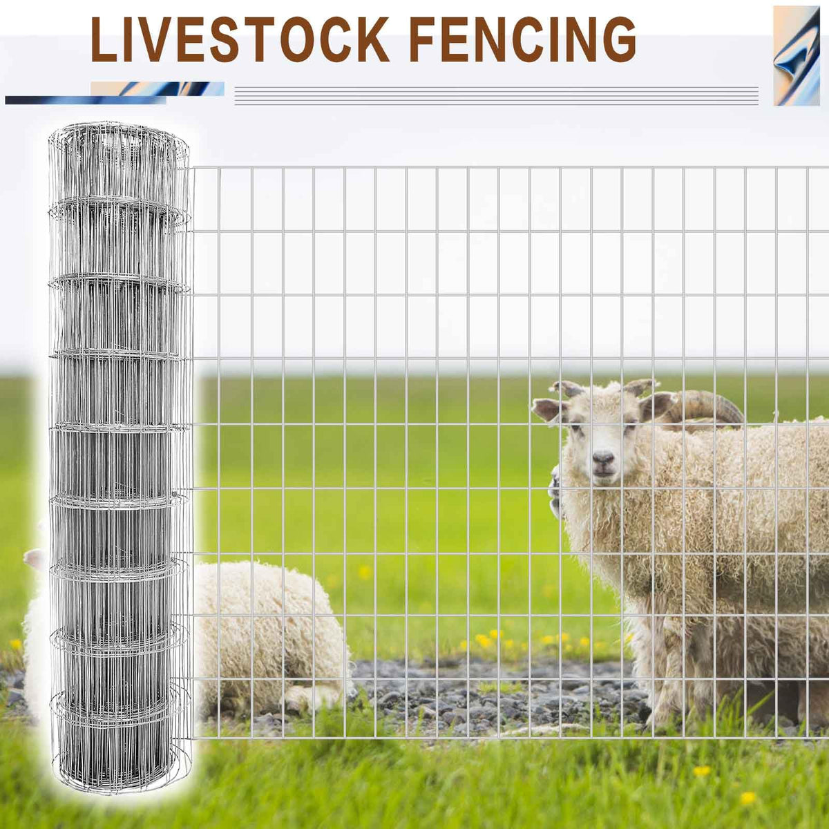 Tongmo chicken-wire style fencing used for garden borders and pens.