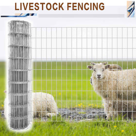 Tongmo chicken-wire style fencing used for garden borders and pens.