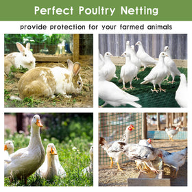 TONGMO Garden fence roll offers versatile borders and outdoor decor.