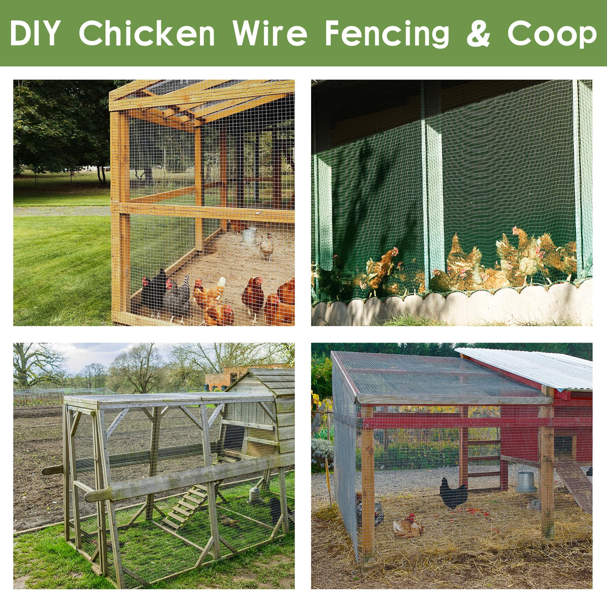 TONGMO One-inch mesh green wire ideal for small animal cages.