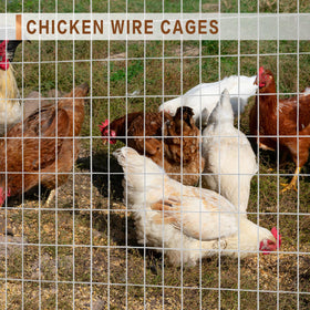 Tongmo poultry enclosure fence provides safe containment for small animals.