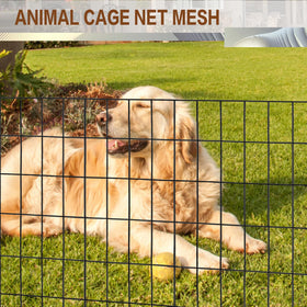 Tongmo poultry fencing demonstrates chicken wire use for secure coop areas.