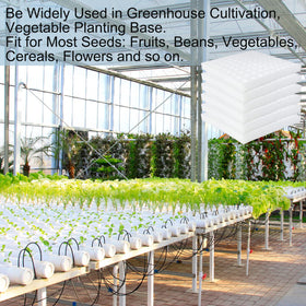 Tongnian garden use in greenhouse with hydroponic sponge setup