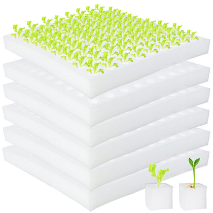 Tongnian hydroponic sponge pack on sheets for easy replacement