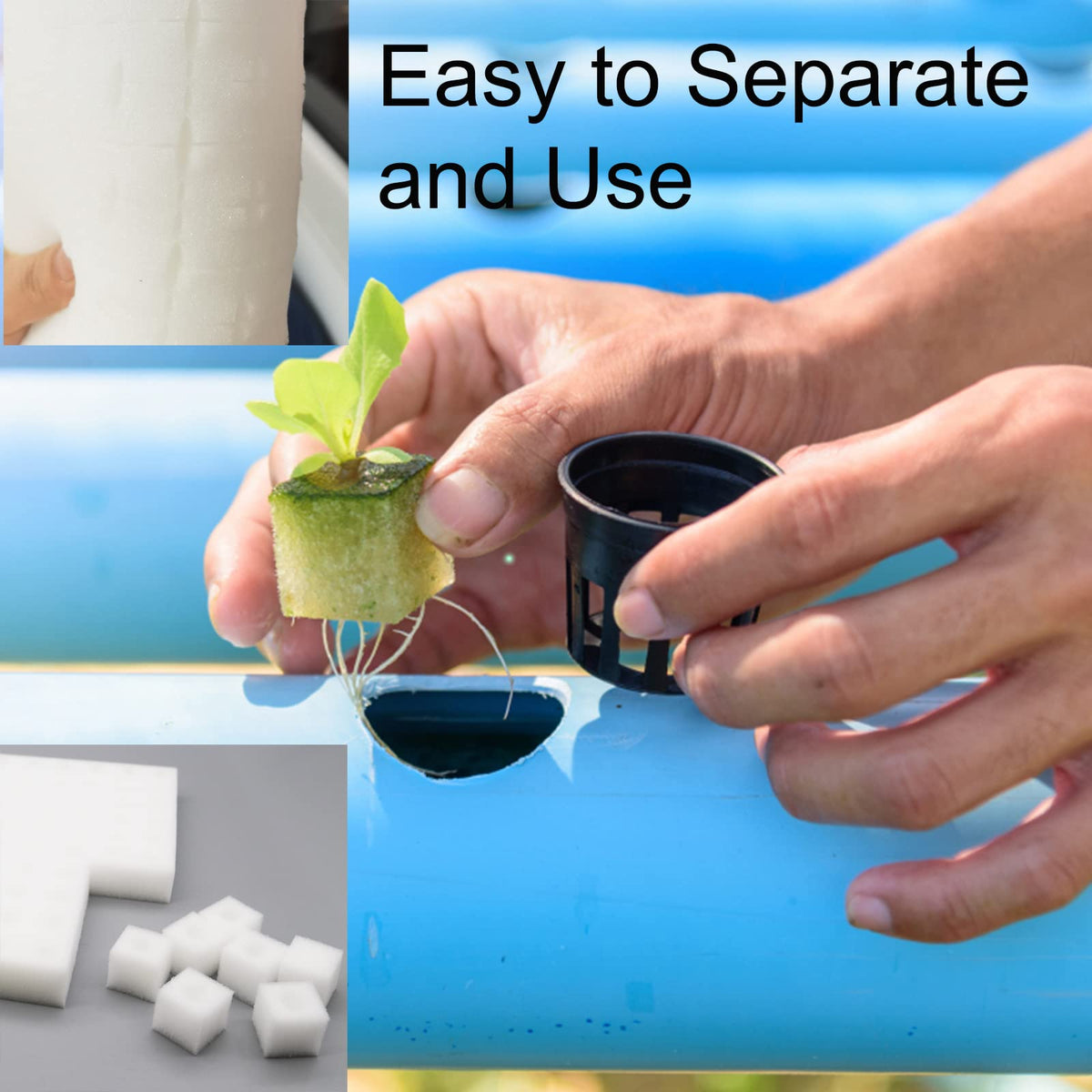 Tongnian soil-less cultivation setup using sponges demonstrates space-saving root breathing