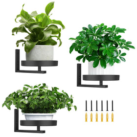 Tongyuyan three-piece wall planters displaying succulents in a compact space