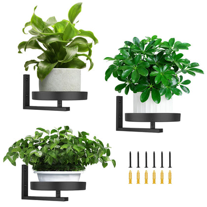 Tongyuyan three-piece wall planters displaying succulents in a compact space