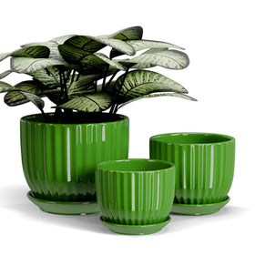 Ton Sin ceramic plant pot, 4-inch green with drainage holes for healthy roots.