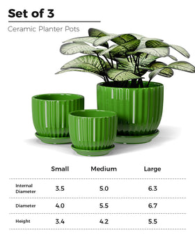 Ton Sin 6-inch green ceramic pot ideal for larger houseplants and decor.