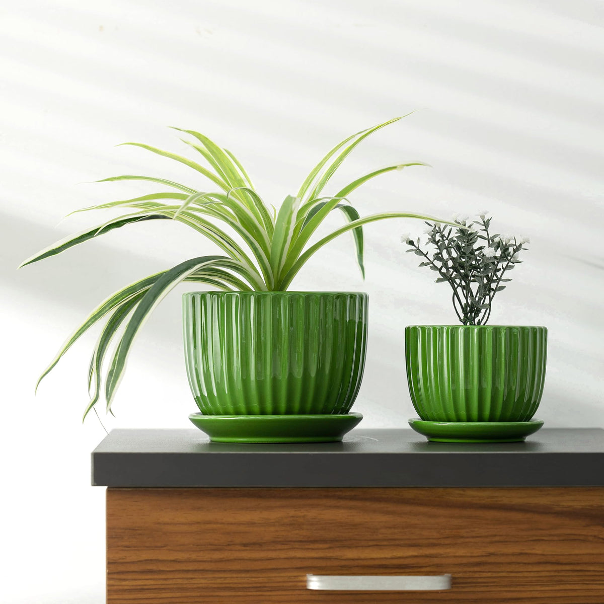 Ton Sin closeup shows drainage holes and glossy glaze for modern home displays.