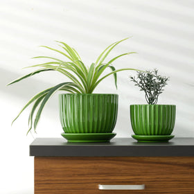 Ton Sin closeup shows drainage holes and glossy glaze for modern home displays.
