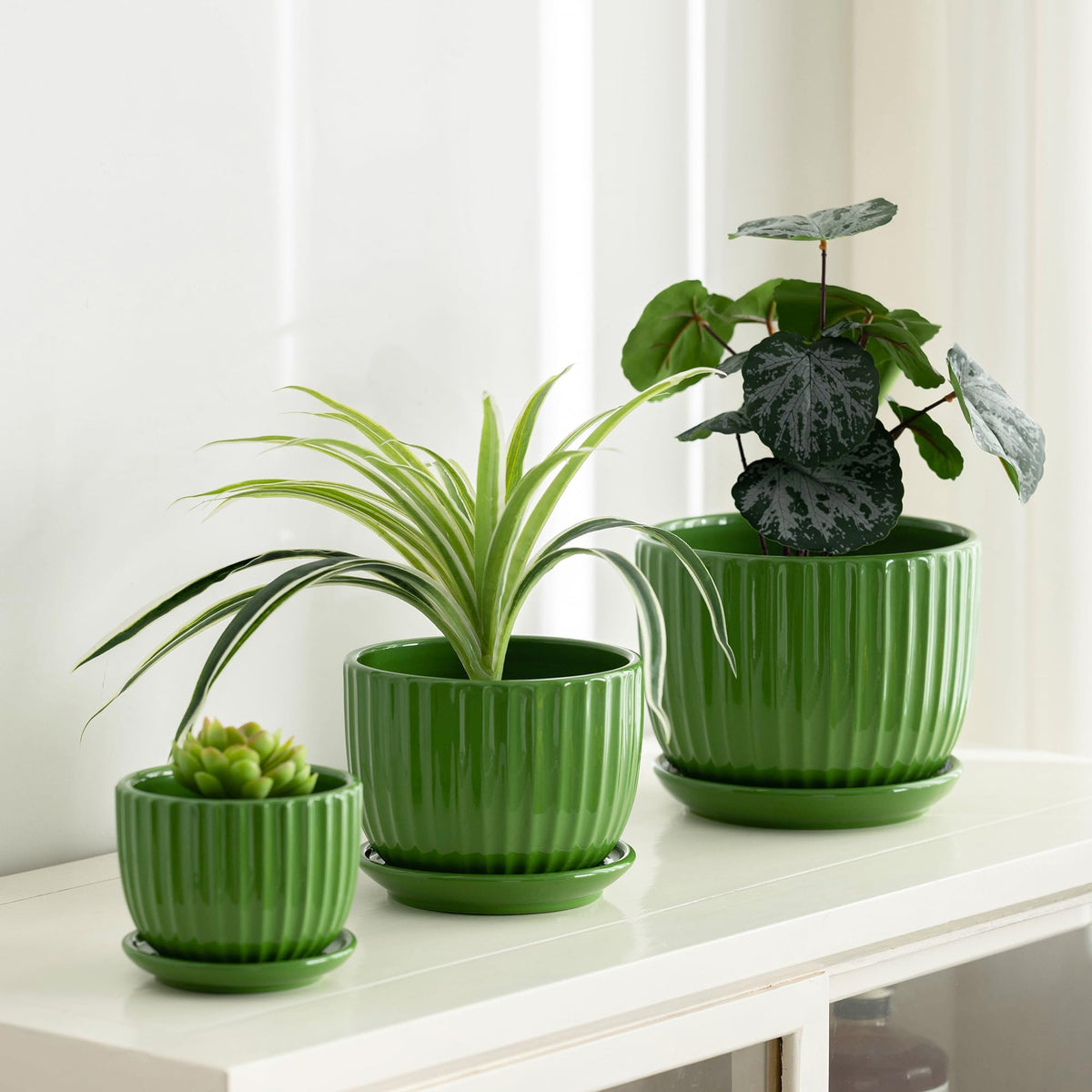 Ton Sin indoor-outdoor pot display emphasizes versatility for homes or balconies.