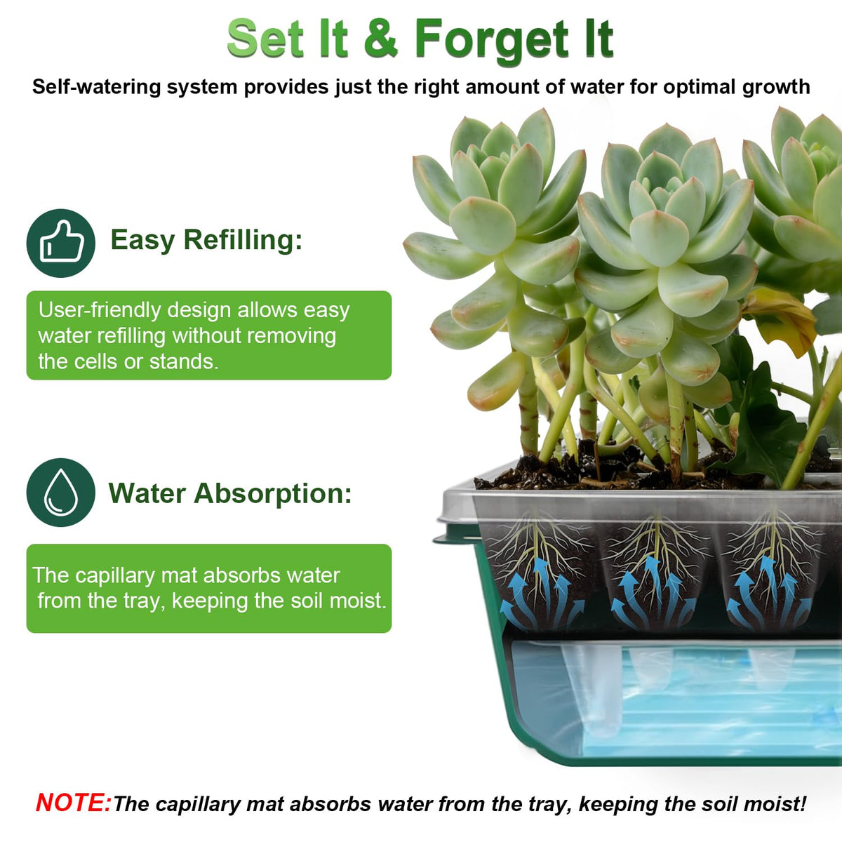 TONYFUL adjustable humidity vents help regulate airflow and temperature for seedlings.