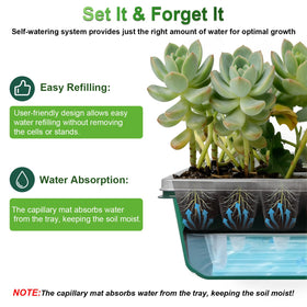 TONYFUL adjustable humidity vents help regulate airflow and temperature for seedlings.