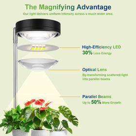 TONYFUL plant grow light automatic timer ensures consistent daily photoperiods.