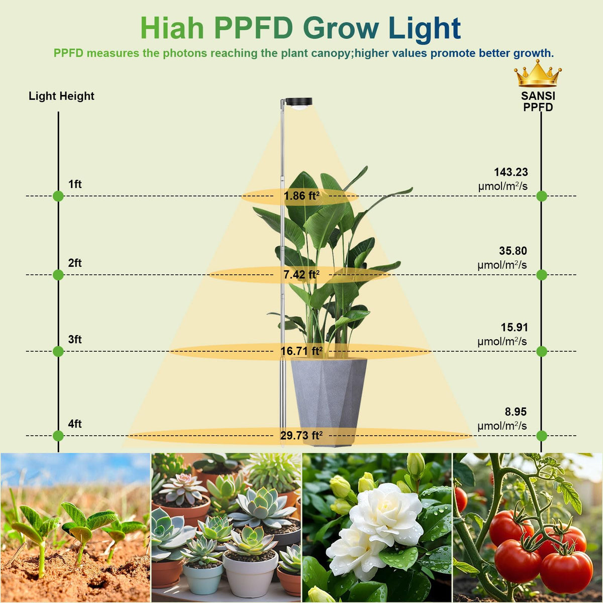 TONYFUL plant grow light precision spotlight concentrates light for targeted leaf coverage.