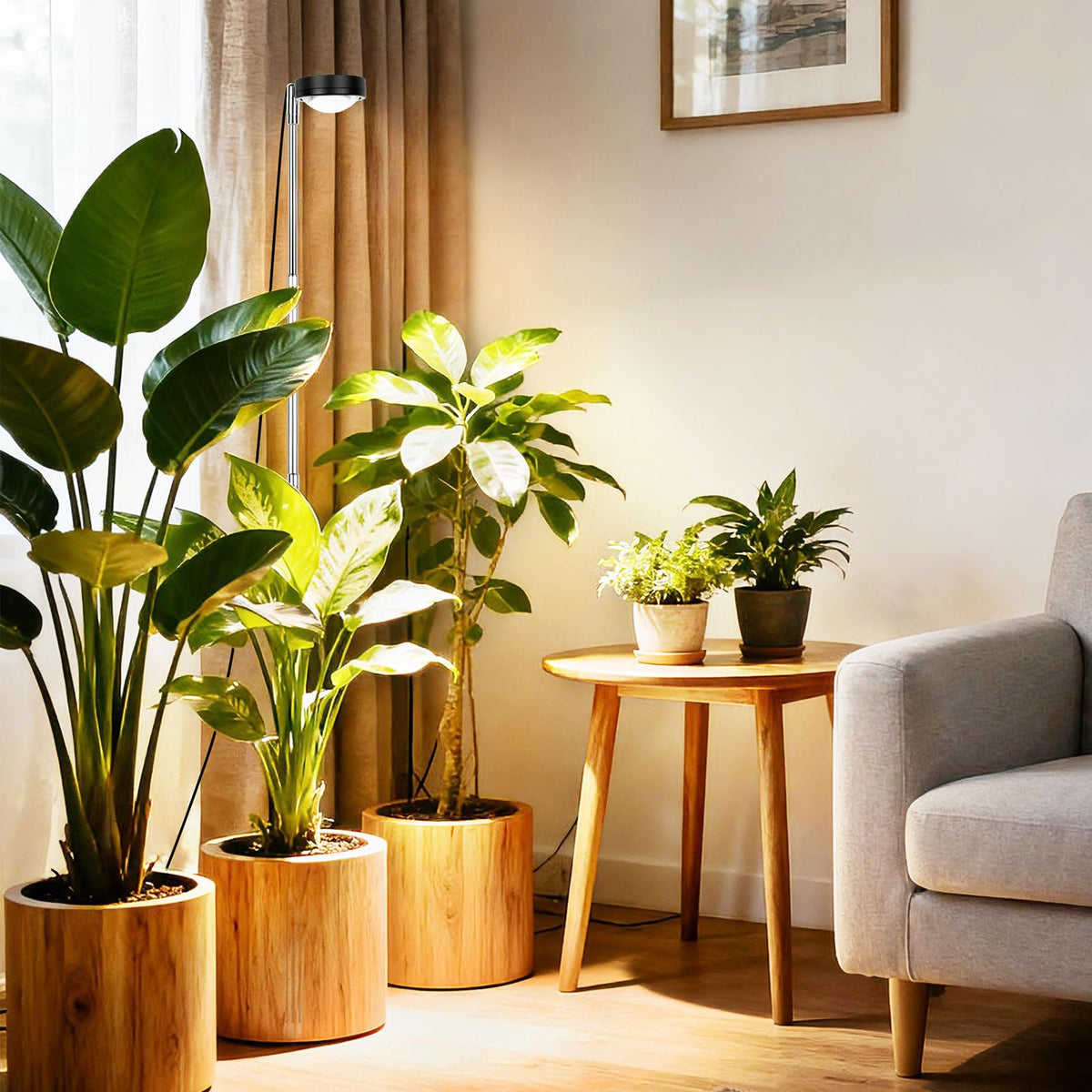 TONYFUL plant grow light low-voltage design enhances safety and energy efficiency.