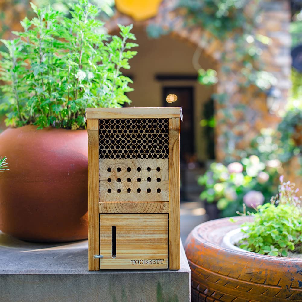 TOOBEETT garden installation fits outdoor spaces while inviting pollinators.
