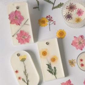 TooGet potpourri and sachet display with natural beauty.