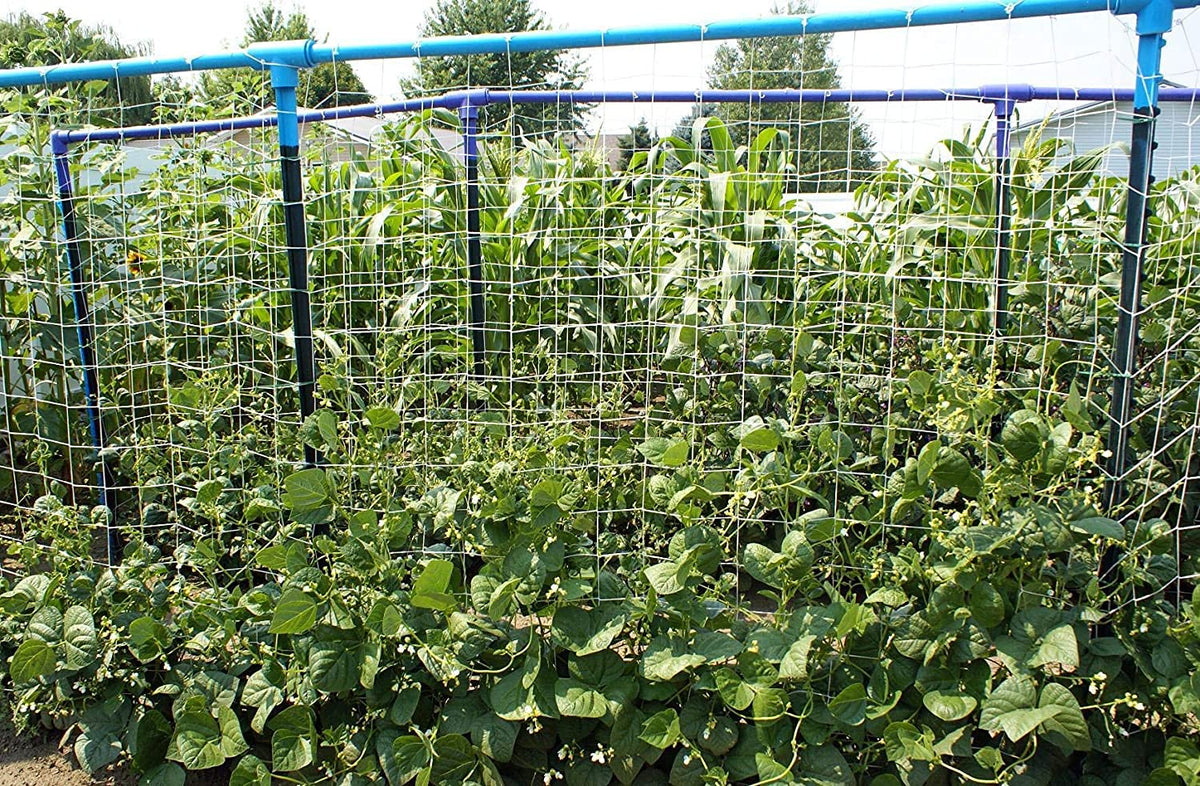 Toolazy outdoor trellis netting ideal for greenhouses and raised beds.