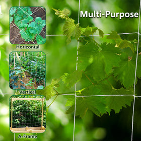 Toolazy plant-safe trellis netting supports climbing vines without harming stems.