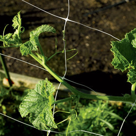 Toolazy Trellis Netting 59 by 328 inches supports vertical or horizontal setups for flexible training.