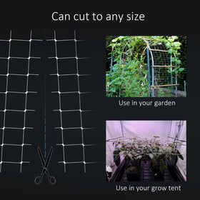 Toolazy Trellis Netting on tomato trellis enhances airflow and even fruiting.