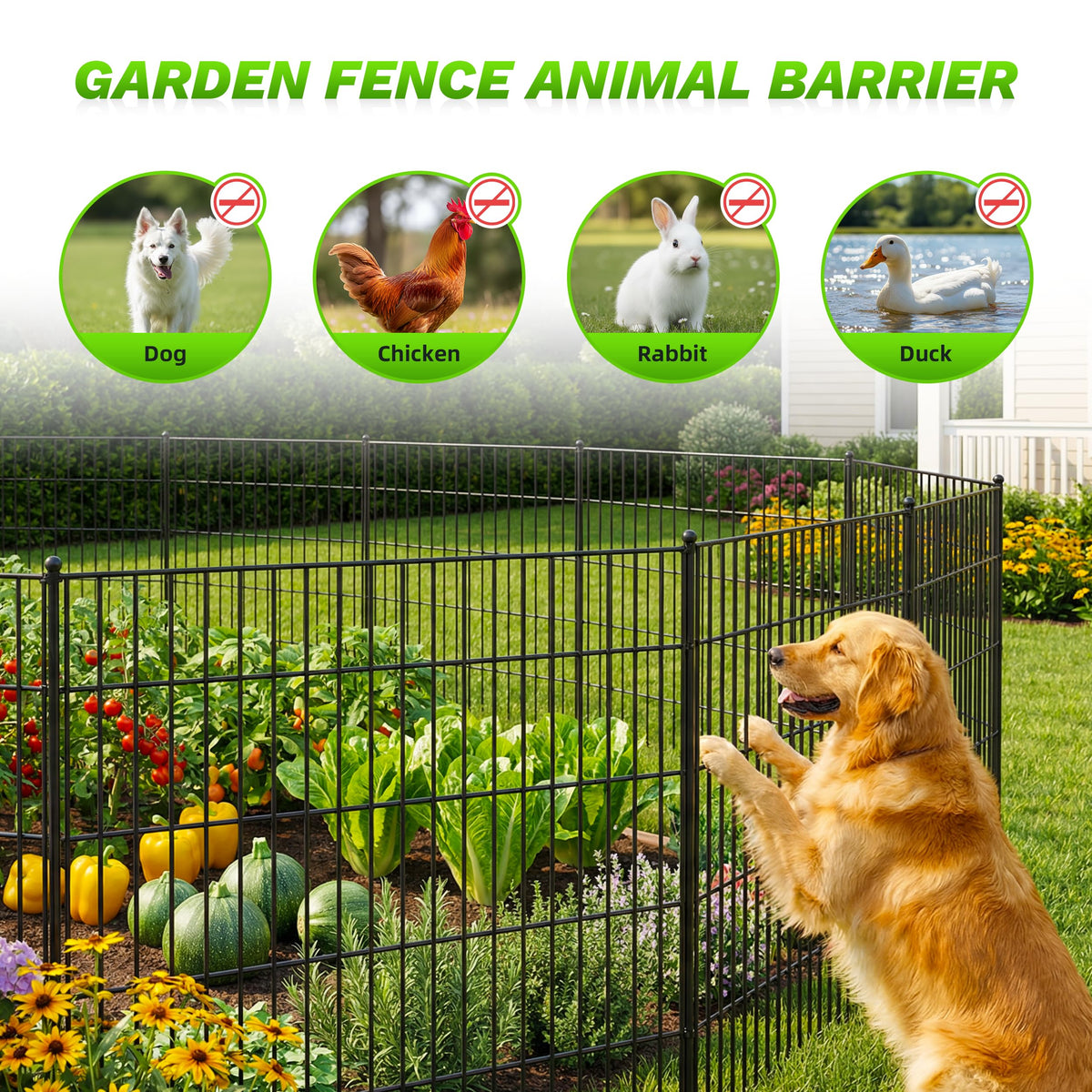 Toolterritary border fence for patios, gardens, and pool areas.