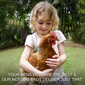 Toolzeen nest stands up to daily use with a durable structure.