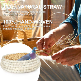Toolzeen egg-collection-friendly design minimizes handling and breakage.