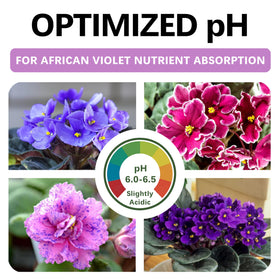Top Tier Genetics organic potting mix ready to use supports easy indoor violet care.