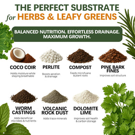 Top Tier Genetics potting mix designed for indoor windowsill herbs promotes steady moisture and fresh flavors.