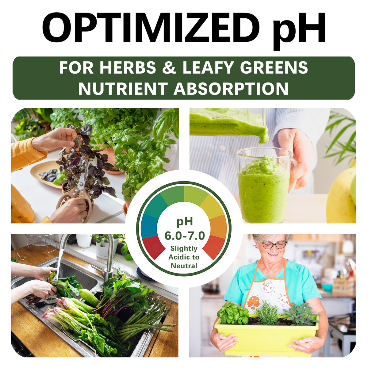 Top Tier Genetics potting mix supports multiple herbs and greens with strong root development.