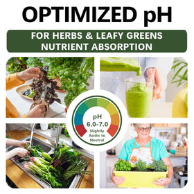 Top Tier Genetics potting mix supports multiple herbs and greens with strong root development.
