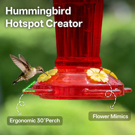 TOP XIAN 30-degree base design offers comfortable feeding posture for hummingbirds