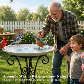 Topadorn ceramic bird bath shown from angled view with antique glaze.