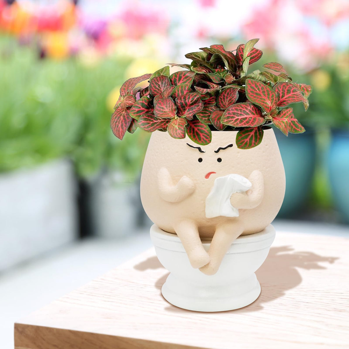 Toparad detachable-face planter offers versatile display options for any room.