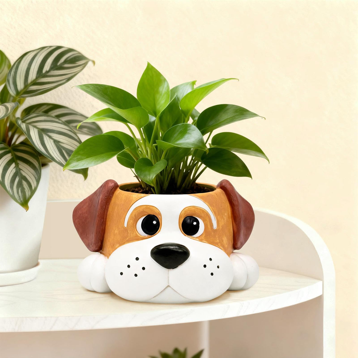 Toparad dog pot fits small spaces like shelves.