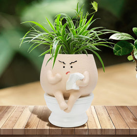 Toparad face self-watering planter with toilet pot adds whimsy to indoor decor.