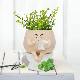 Toparad gift-friendly planter makes a memorable present for plant lovers.
