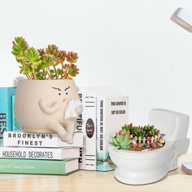 Toparad indoor-outdoor planter fits desks, shelves, and patios.