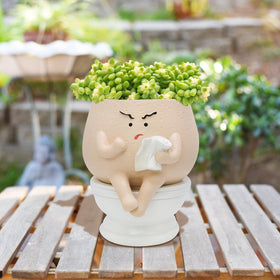 Toparad mini garden planter creates a living art piece anywhere.