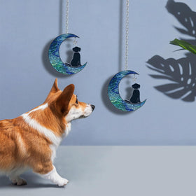 Toparad sunlit suncatcher for garden, window, or near pet photos