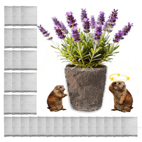 Topfurn 50-piece gopher baskets front view protect roots in the garden.