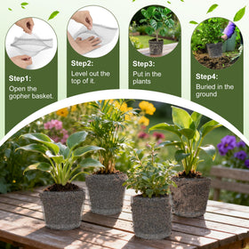 Topfurn garden setup with baskets shielding bulbs and vegetables from gnawing.