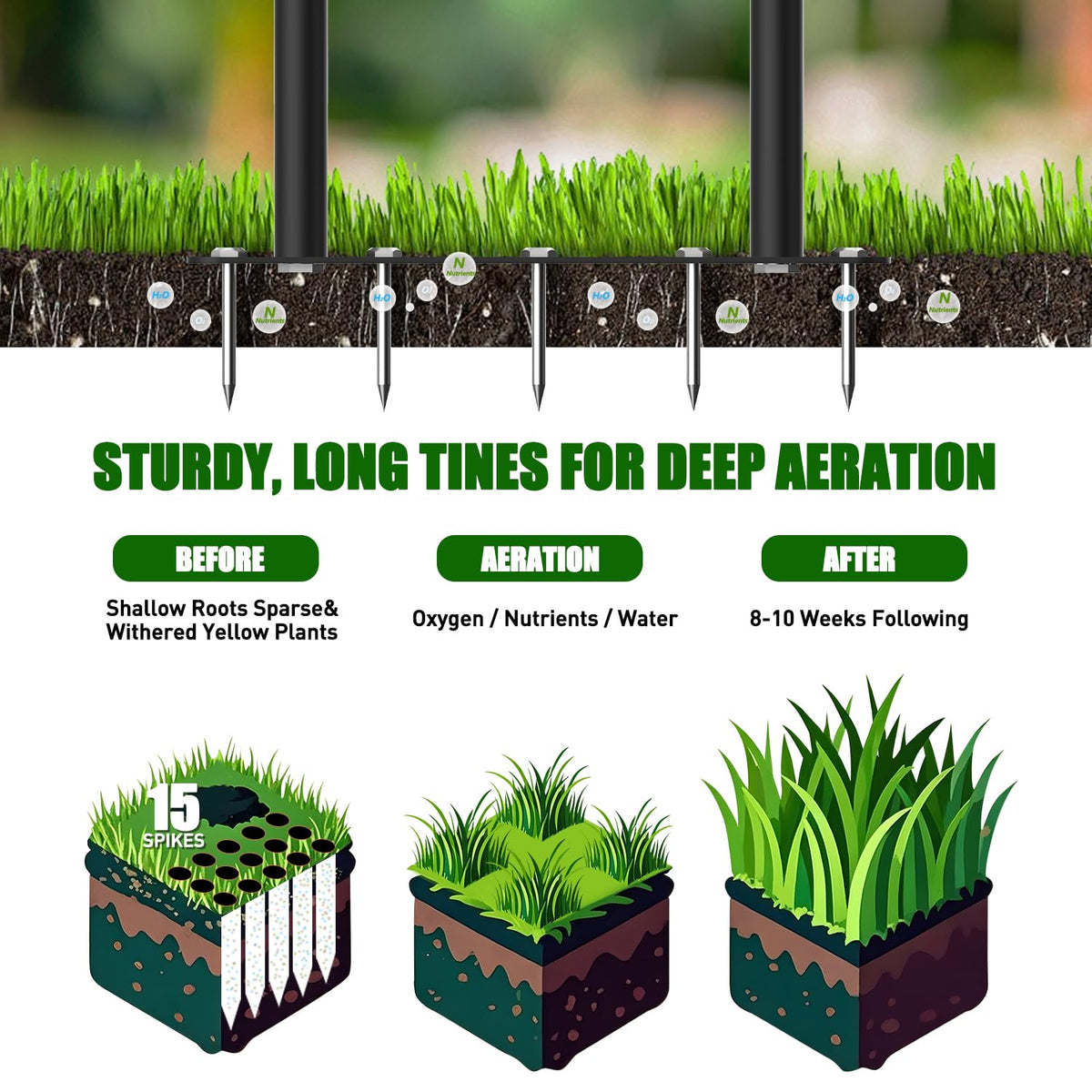 TOPHDY ergonomic handle promotes comfortable lawn maintenance.
