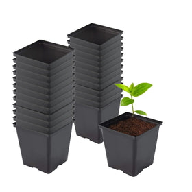 TopoGrow half-gallon square pot with side drainage holes for healthy seedlings.
