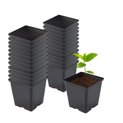TopoGrow half-gallon square pot with side drainage holes for healthy seedlings.