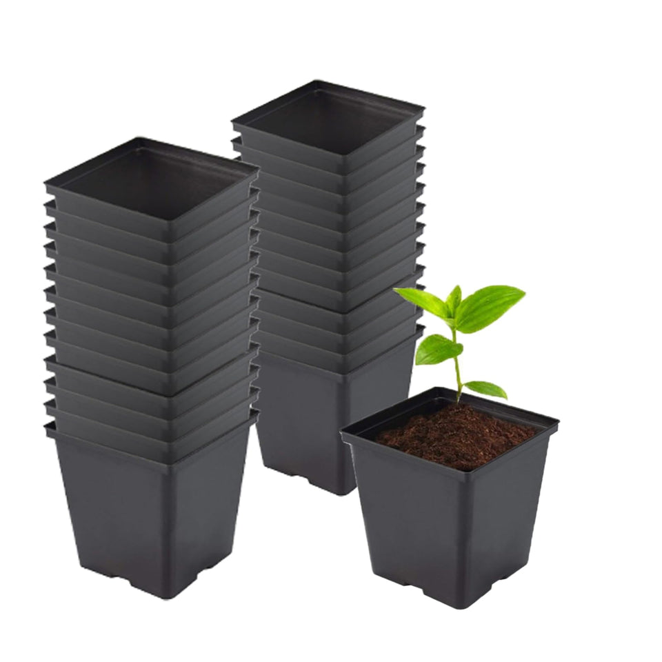 TopoGrow half-gallon square pot with side drainage holes for healthy seedlings.