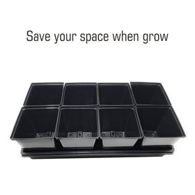 TopoGrow pot design promotes airflow and reduces root rot risk.